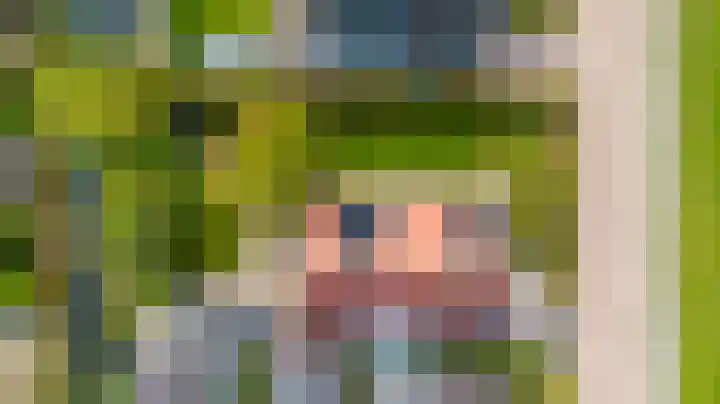 Anne Hanzeswyk 6 De Knipe thumbnail 73
