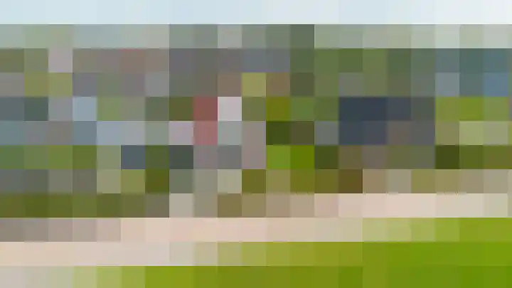 Anne Hanzeswyk 6 De Knipe thumbnail 9