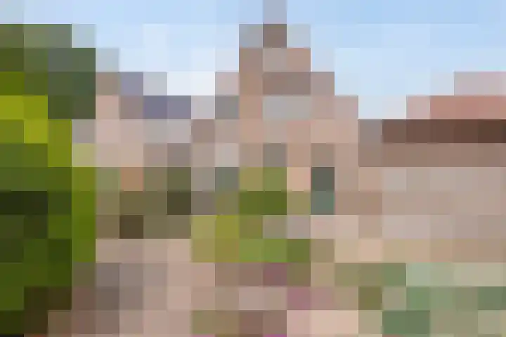 Foto van Anne Hoogwerf