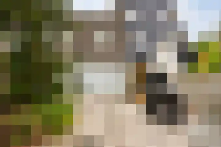 Anne Kooistrahof 100 Amsterdam thumbnail 18