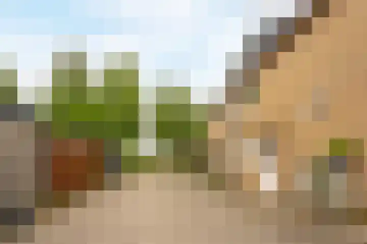 Anne Kooistrahof 100 Amsterdam thumbnail 22
