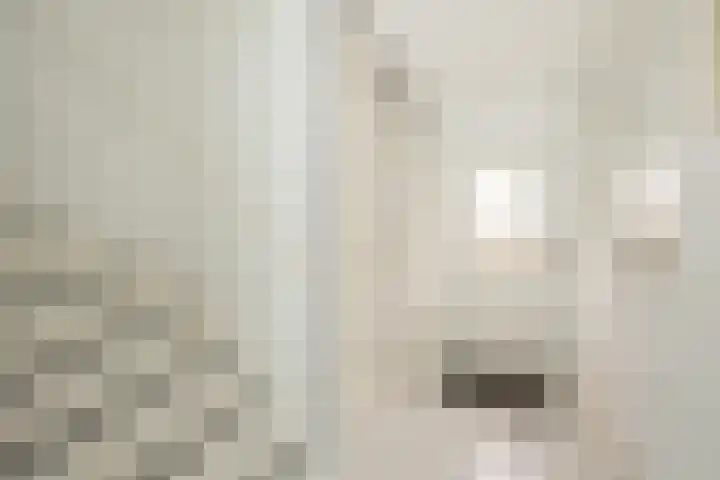 Anne Kooistrahof 100 Amsterdam thumbnail 6