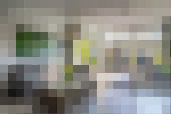 Anne Kooistrahof 92 Amsterdam thumbnail 13