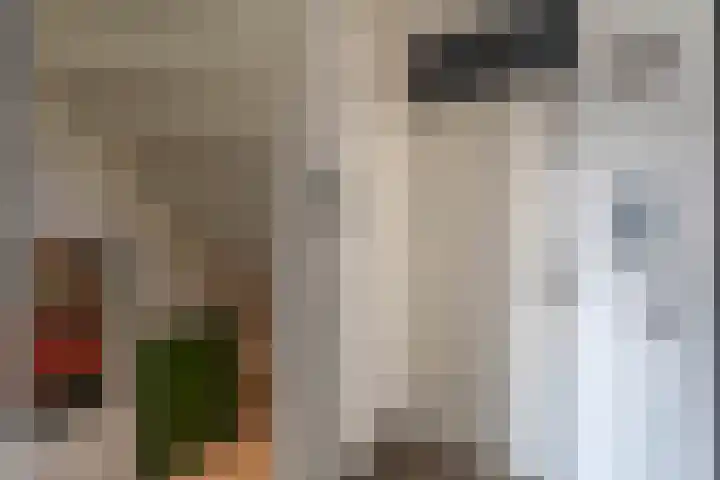Anne Kooistrahof 92 Amsterdam thumbnail 17