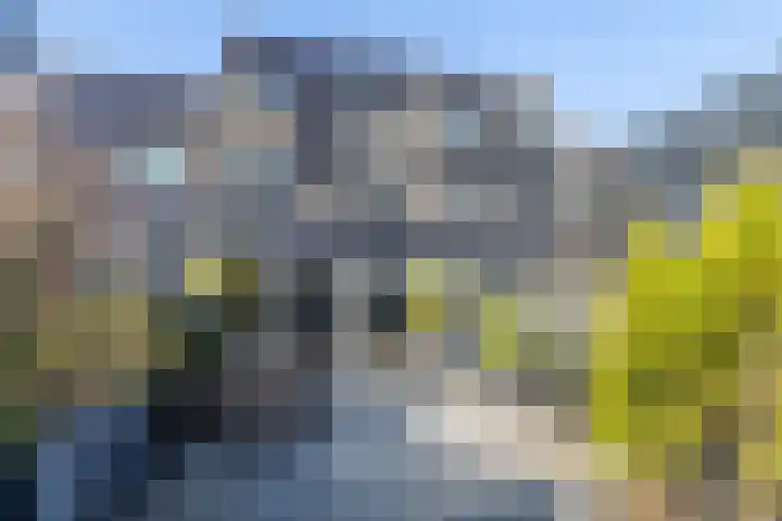 Anne Kooistrahof 92 Amsterdam thumbnail 44
