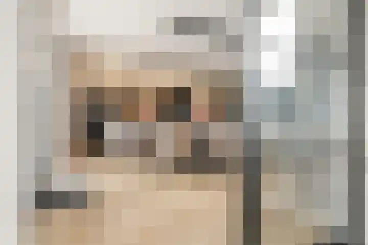 Anne Vondelinglaan 15 Heerenveen thumbnail 19