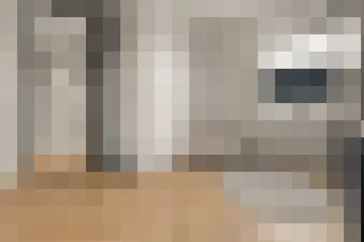 Anne Vondelinglaan 15 Heerenveen thumbnail 32