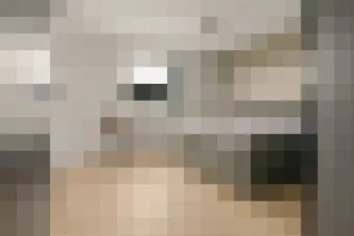 Anne Vondelinglaan 15 Heerenveen thumbnail 41