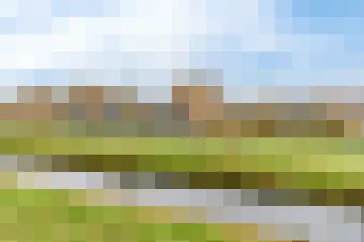 Anne Vondelinglaan 15 Heerenveen thumbnail 57