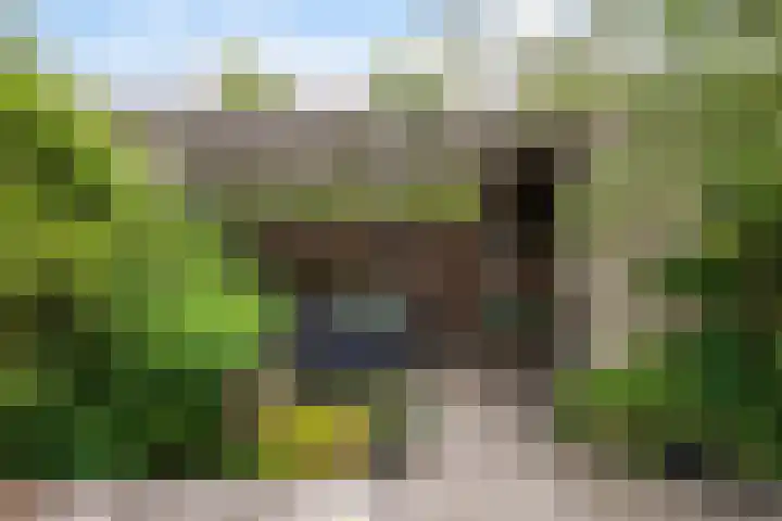 Anne Vondelingplantsoen 1 Naaldwijk thumbnail 14
