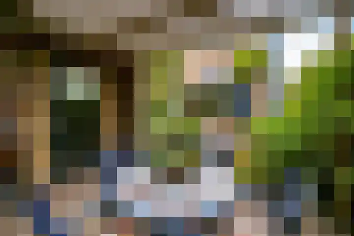 Anne Vondelingplantsoen 1 Naaldwijk thumbnail 15