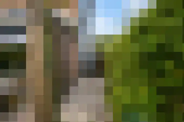 Anne Vondelingplantsoen 1 Naaldwijk thumbnail 16