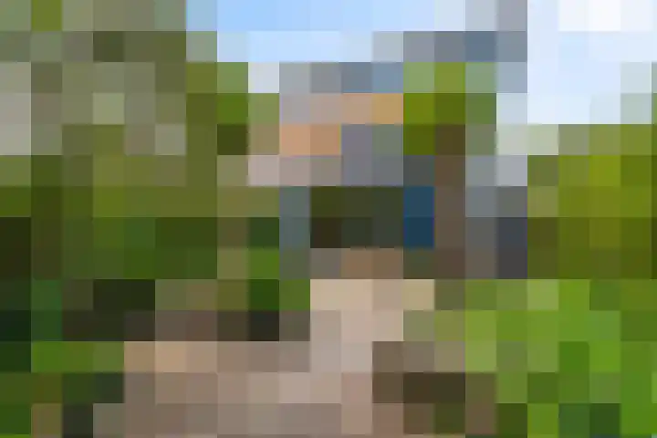 Anne Vondelingplantsoen 1 Naaldwijk thumbnail 17