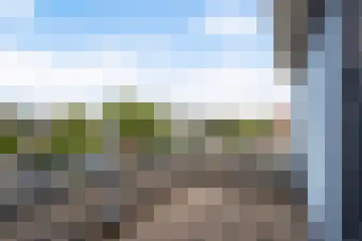 Anne Vondelingplantsoen 1 Naaldwijk thumbnail 41