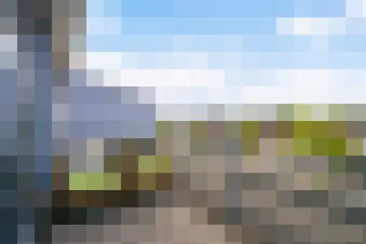 Anne Vondelingplantsoen 1 Naaldwijk thumbnail 42