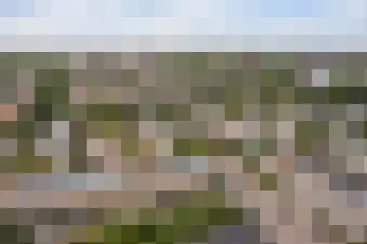 Anne Vondelingplantsoen 1 Naaldwijk thumbnail 46