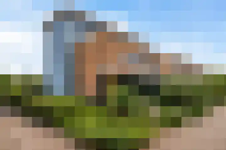 Anne Vondelingplantsoen 1 Naaldwijk thumbnail 50