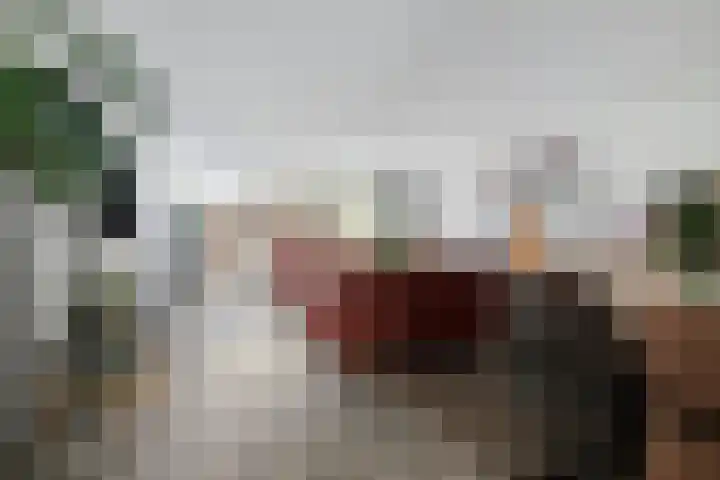 Anne Vondelingplantsoen 15 Naaldwijk thumbnail 15