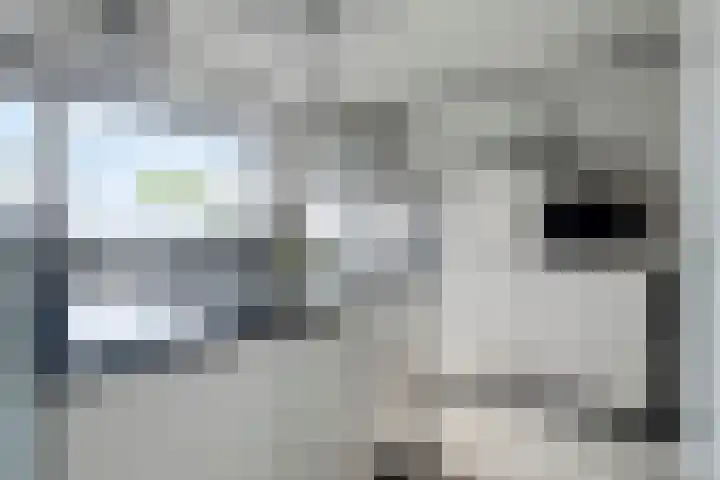 Anne Vondelingplantsoen 15 Naaldwijk thumbnail 16