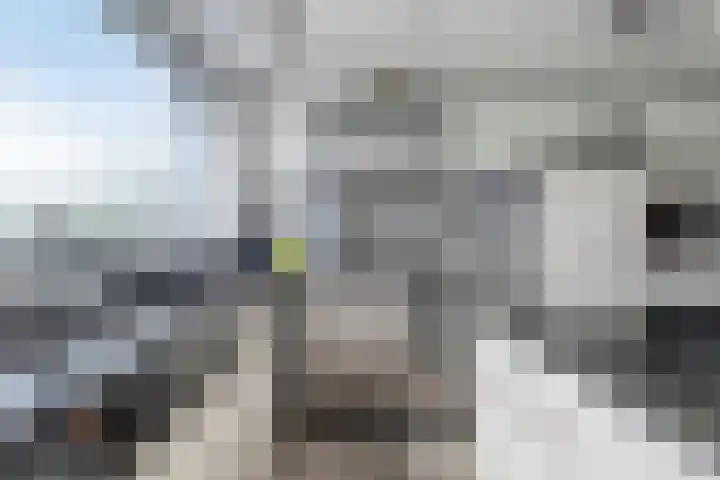 Anne Vondelingplantsoen 15 Naaldwijk thumbnail 17