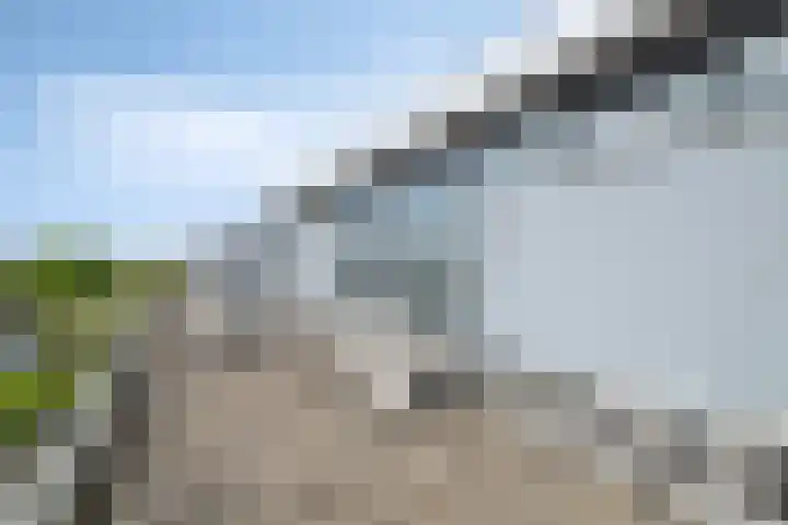 Anne Vondelingplantsoen 15 Naaldwijk thumbnail 34