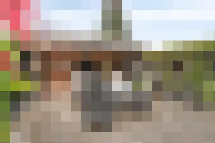 Anne Vondelingplantsoen 15 Naaldwijk thumbnail 37