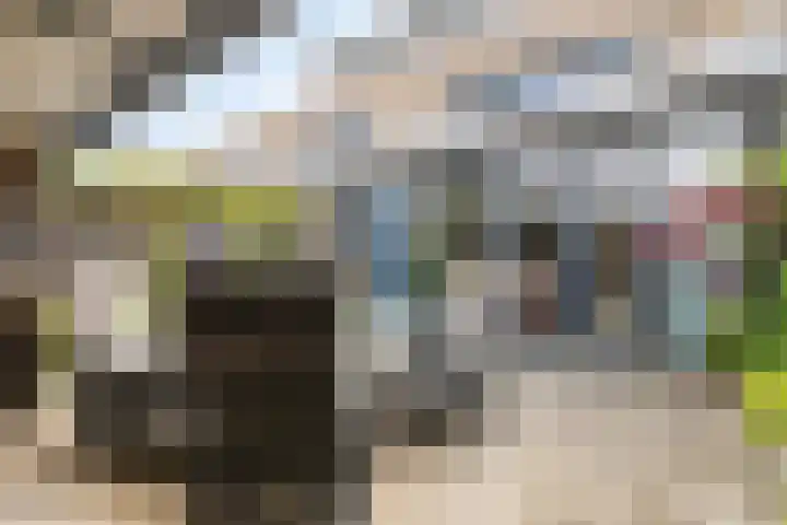 Anne Vondelingplantsoen 15 Naaldwijk thumbnail 5