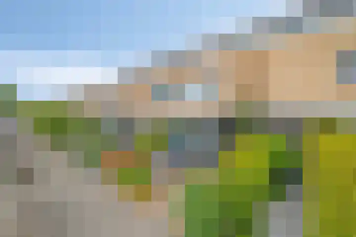 Anne Vondelingplantsoen 15 Naaldwijk thumbnail 6