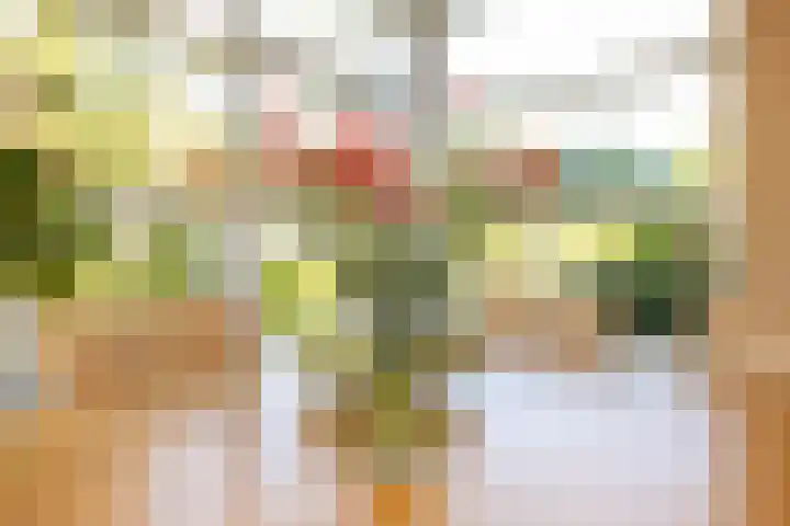 Anne Vondelingplantsoen 18 Naaldwijk thumbnail 12