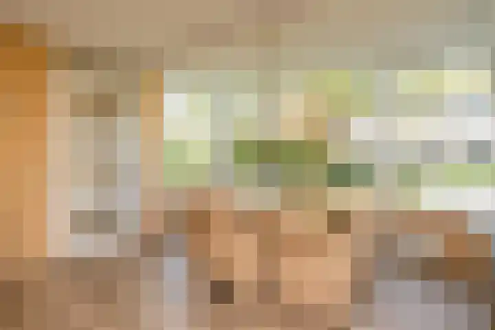 Anne Vondelingplantsoen 18 Naaldwijk thumbnail 16