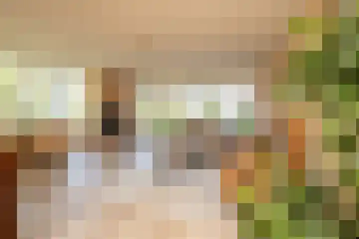 Anne Vondelingplantsoen 18 Naaldwijk thumbnail 21