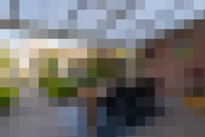 Anne Vondelingplantsoen 18 Naaldwijk thumbnail 23