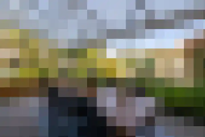 Anne Vondelingplantsoen 18 Naaldwijk thumbnail 24