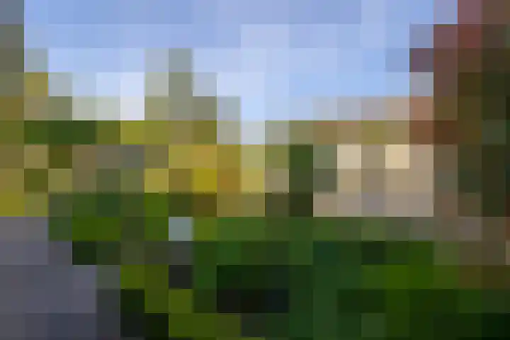 Anne Vondelingplantsoen 18 Naaldwijk thumbnail 25