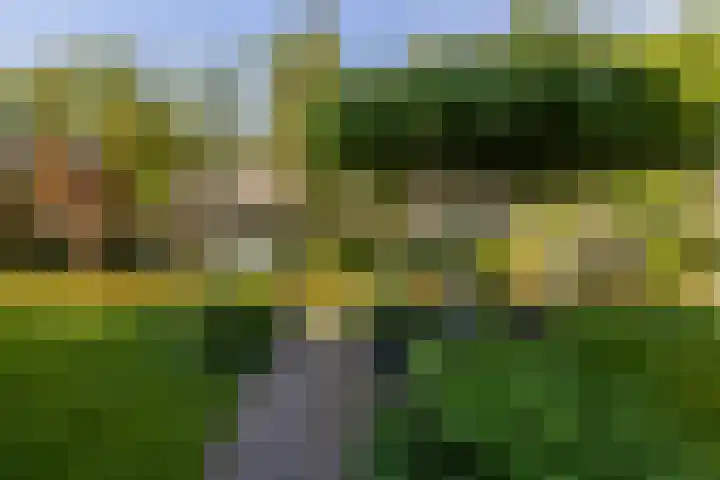 Anne Vondelingplantsoen 18 Naaldwijk thumbnail 26