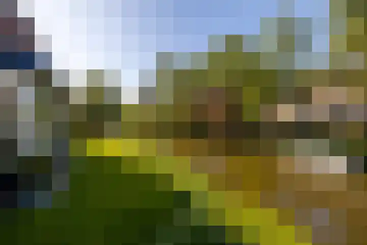 Anne Vondelingplantsoen 18 Naaldwijk thumbnail 27