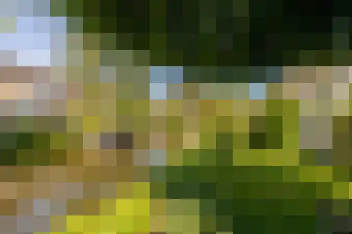 Anne Vondelingplantsoen 18 Naaldwijk thumbnail 28