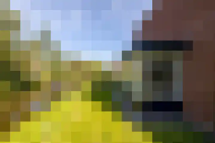 Anne Vondelingplantsoen 18 Naaldwijk thumbnail 29