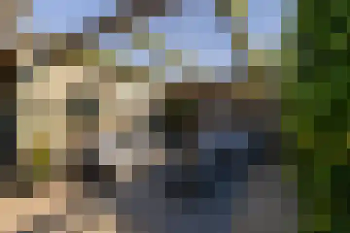 Anne Vondelingplantsoen 18 Naaldwijk thumbnail 32