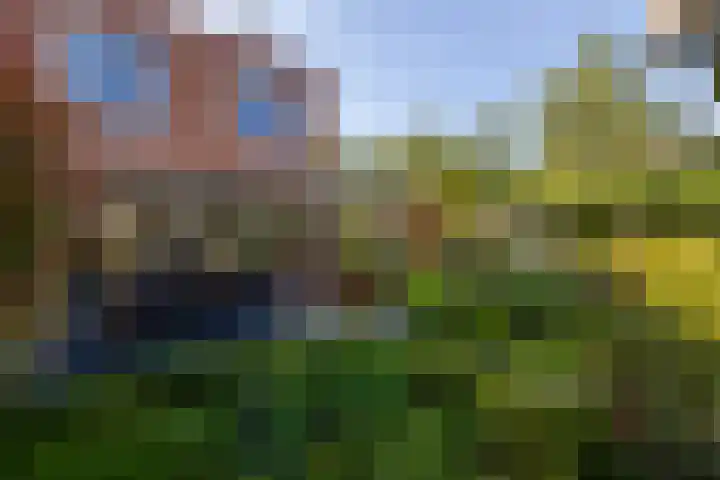 Anne Vondelingplantsoen 18 Naaldwijk thumbnail 33