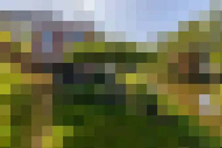 Anne Vondelingplantsoen 18 Naaldwijk thumbnail 34