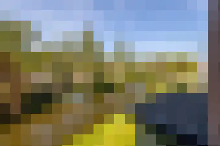 Anne Vondelingplantsoen 18 Naaldwijk thumbnail 36