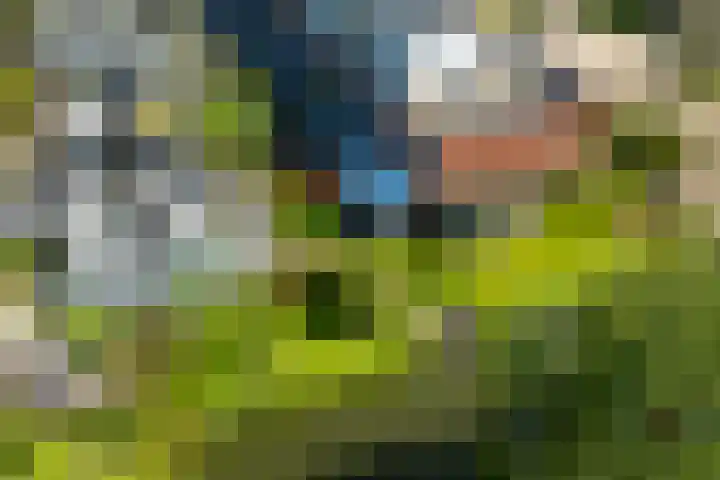 Anne Vondelingplantsoen 18 Naaldwijk thumbnail 4