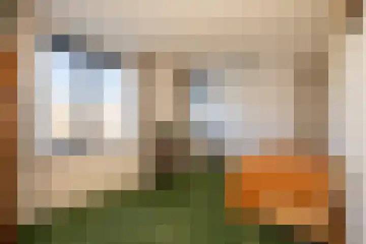 Anne Vondelingplantsoen 18 Naaldwijk thumbnail 42