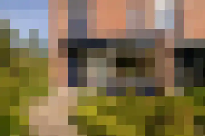 Anne Vondelingplantsoen 18 Naaldwijk thumbnail 5