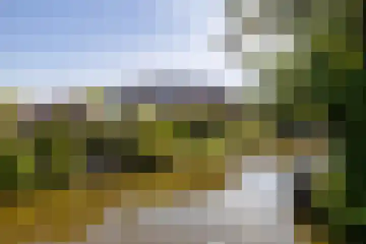 Anne Vondelingplantsoen 18 Naaldwijk thumbnail 50