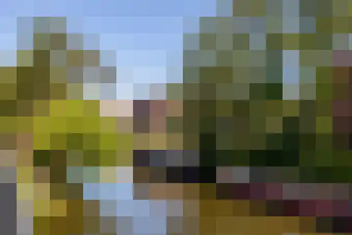 Anne Vondelingplantsoen 18 Naaldwijk thumbnail 52