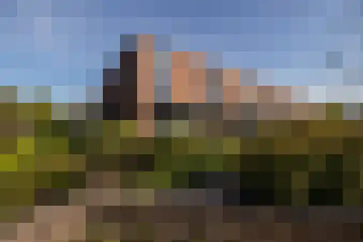 Anne Vondelingplantsoen 18 Naaldwijk thumbnail 55