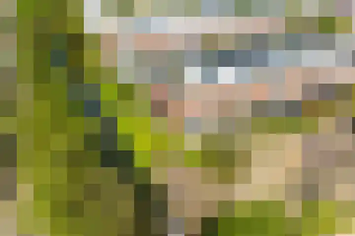 Anne Vondelingplantsoen 18 Naaldwijk thumbnail 57
