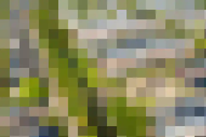 Anne Vondelingplantsoen 18 Naaldwijk thumbnail 58